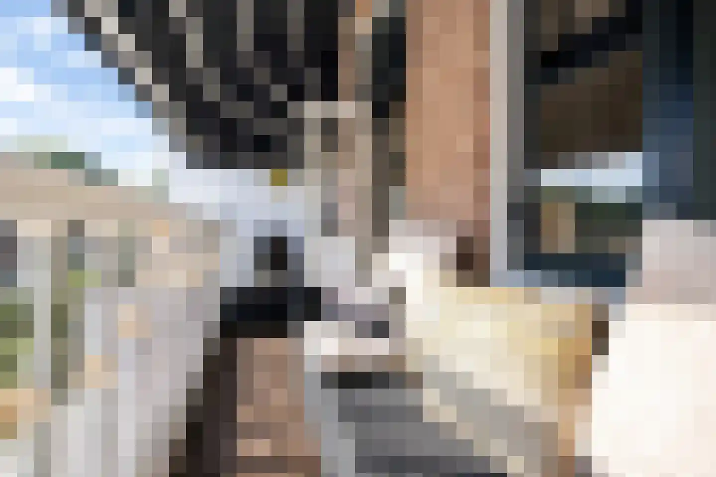 Gamerschestraat 55 Zaltbommel thumbnail 40