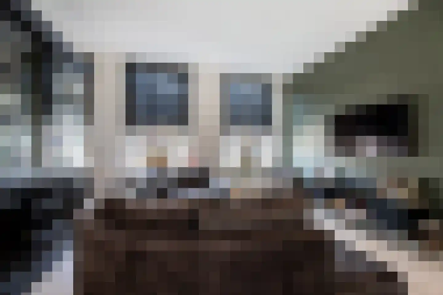 Gamerschestraat 55 Zaltbommel thumbnail 5