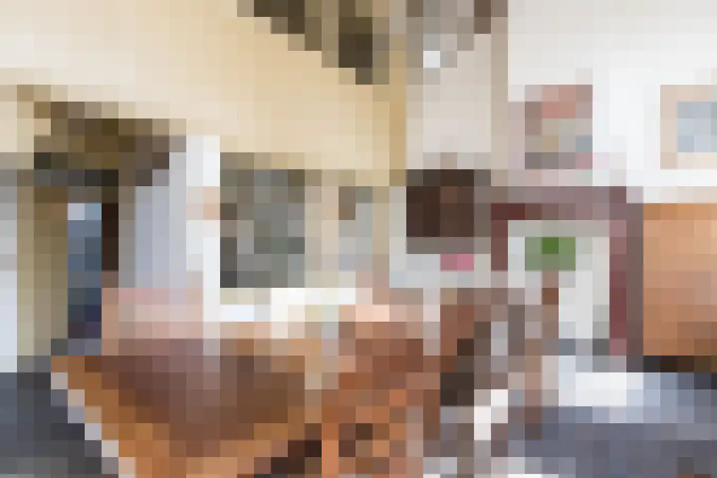 Gamerschestraat 62 Zaltbommel thumbnail 13