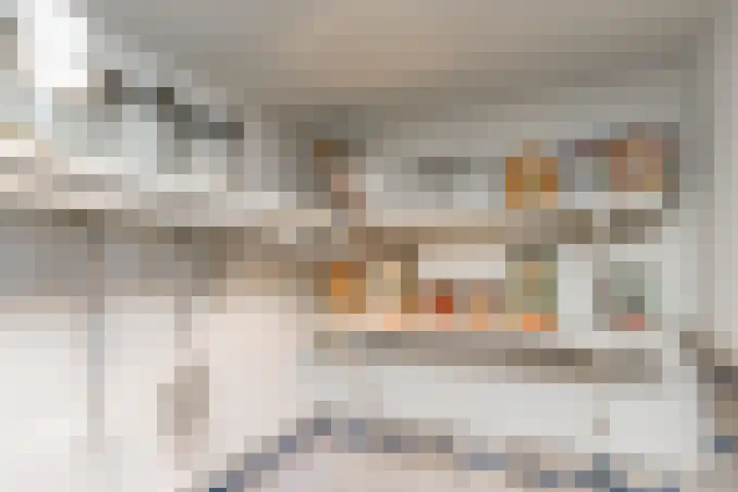 Gamerschestraat 62 Zaltbommel thumbnail 29