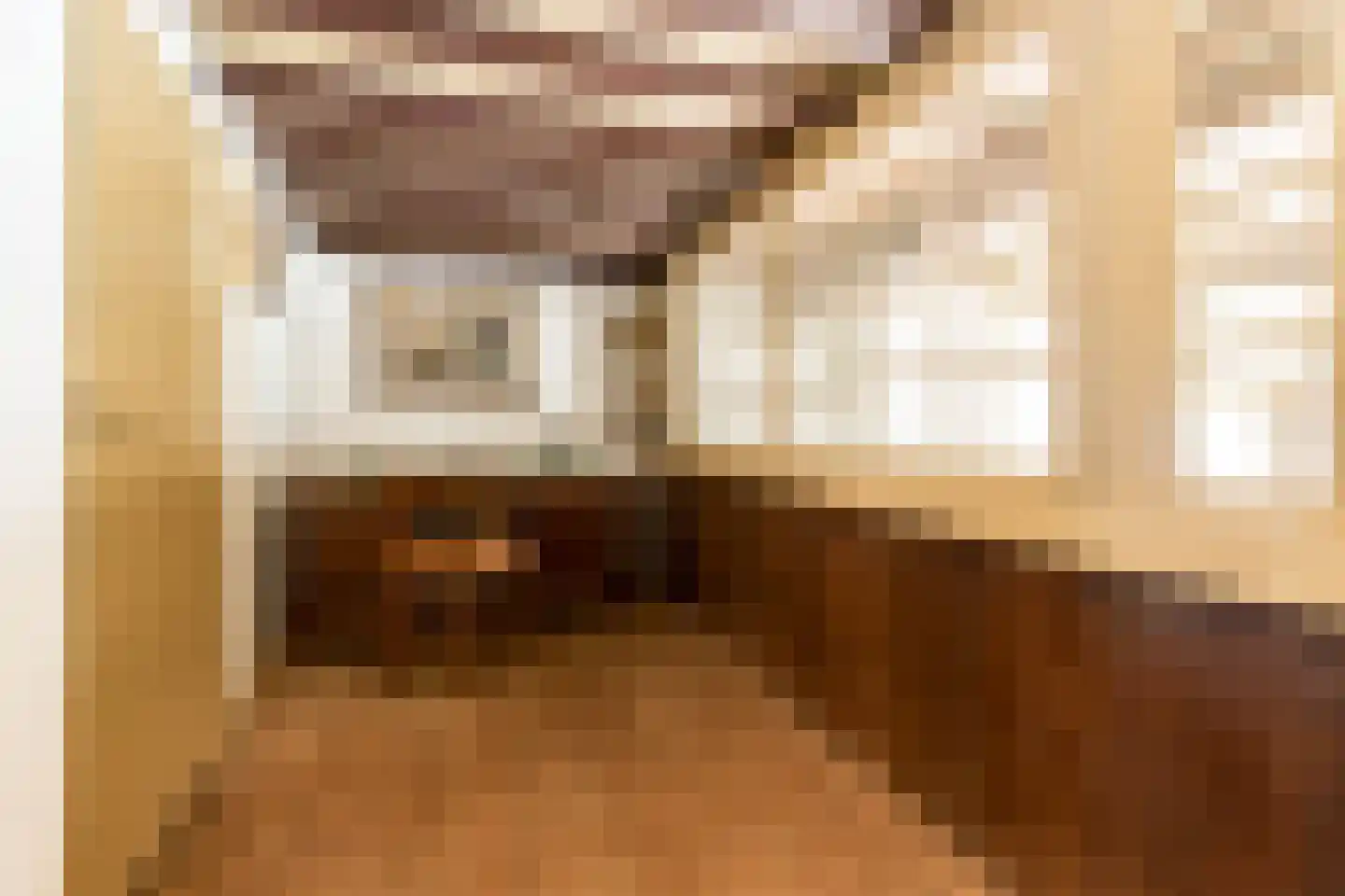 Gamerschestraat 62 Zaltbommel thumbnail 34