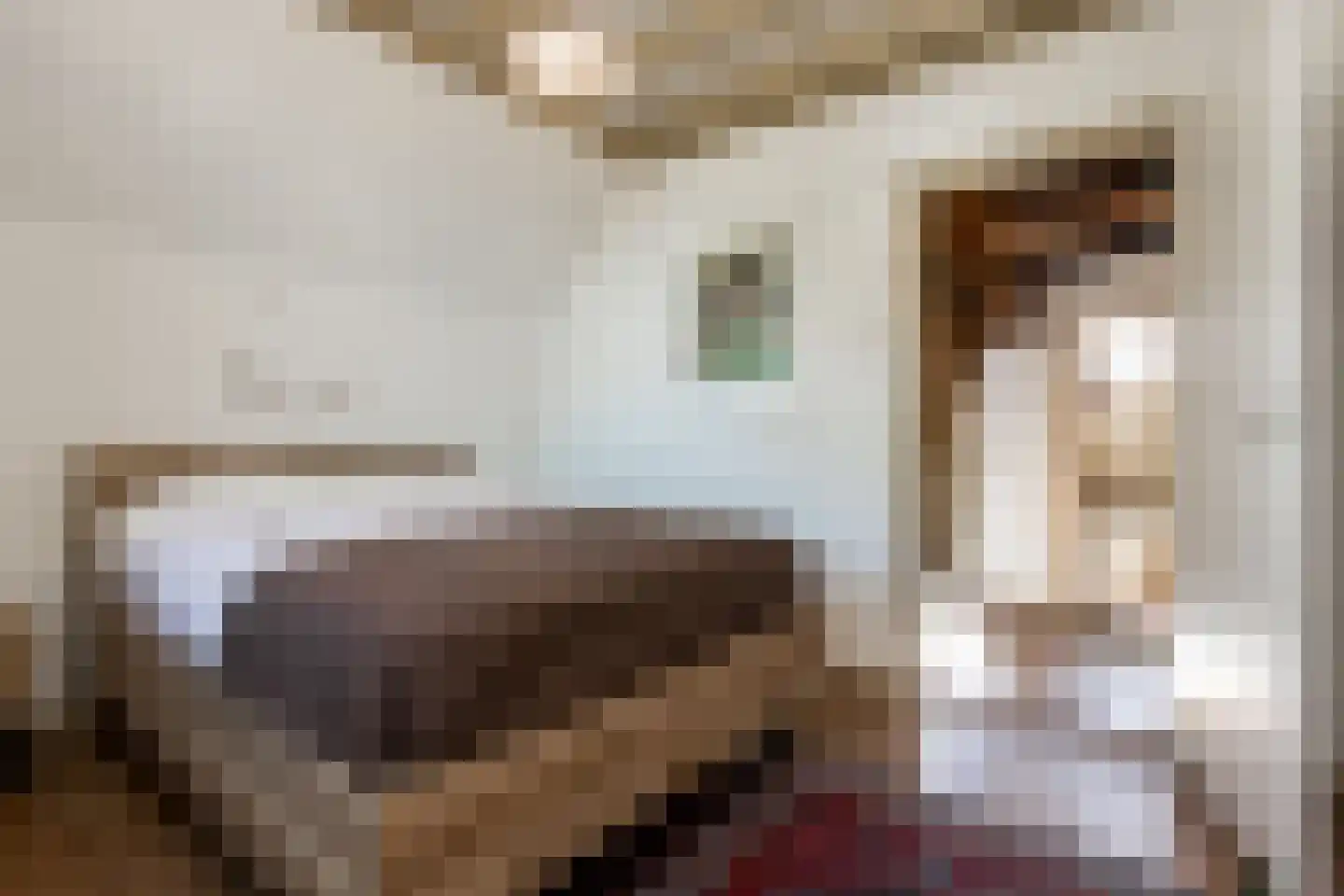 Gamerschestraat 62 Zaltbommel thumbnail 46