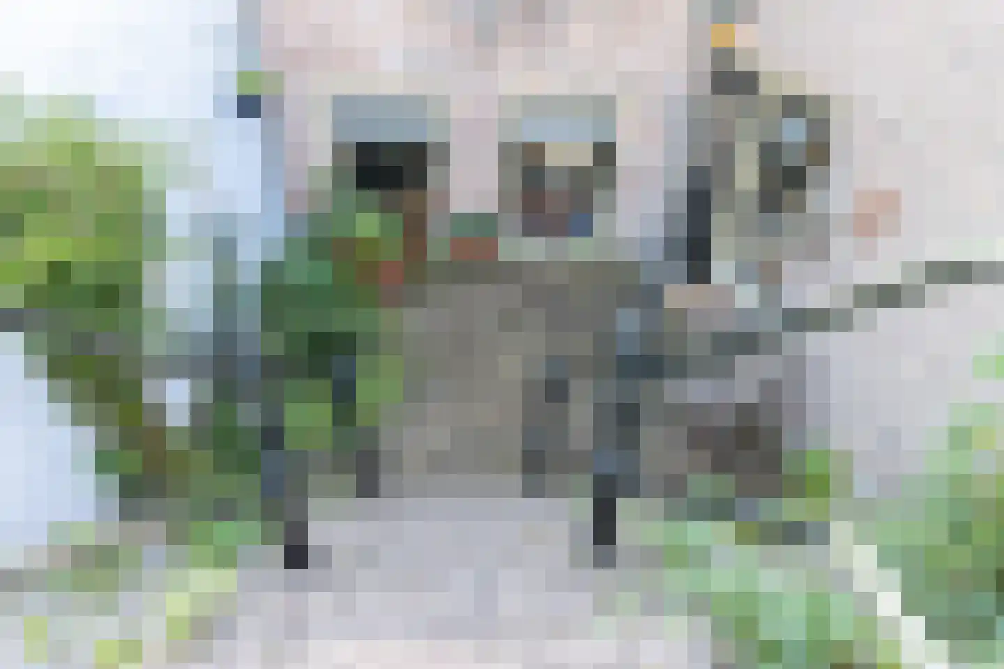 Gamerschestraat 62 Zaltbommel thumbnail 6