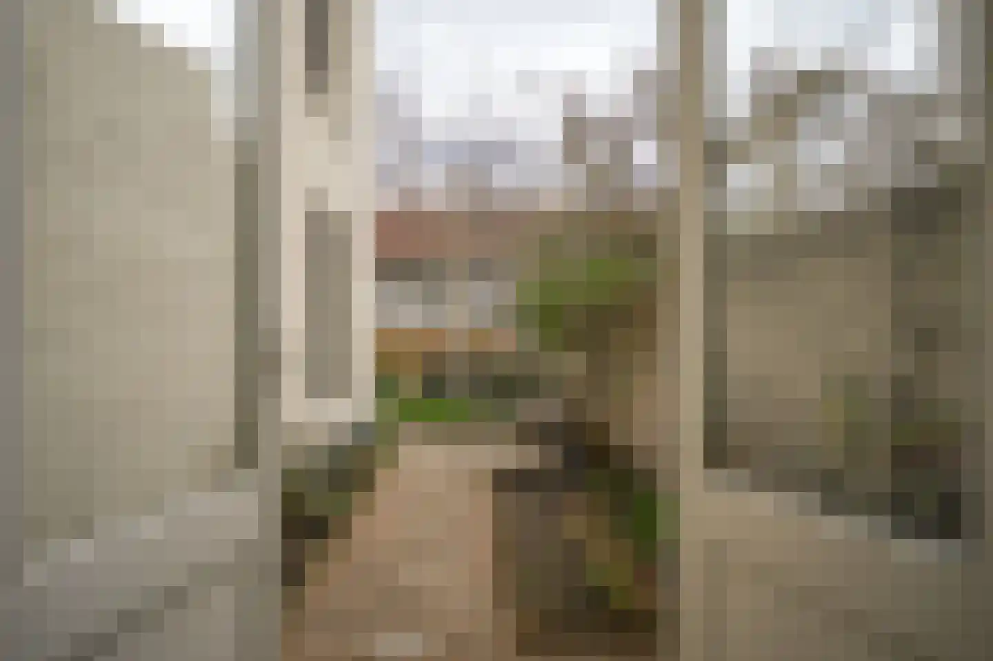 Gamerschestraat 71 Zaltbommel thumbnail 11