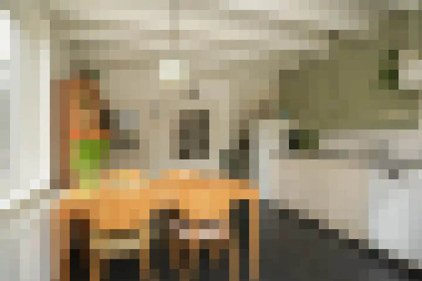 Gamerschestraat 71 Zaltbommel thumbnail 16