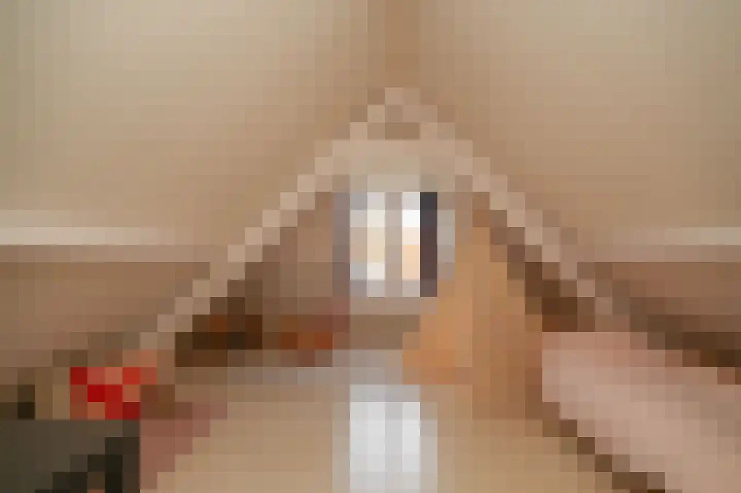 Gamerschestraat 71 Zaltbommel thumbnail 30