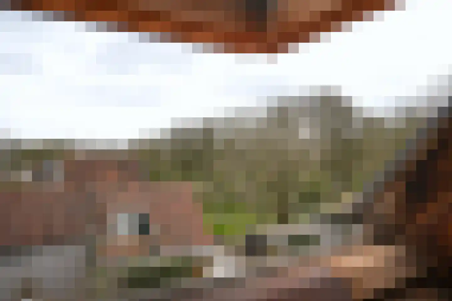 Gamerschestraat 71 Zaltbommel thumbnail 31