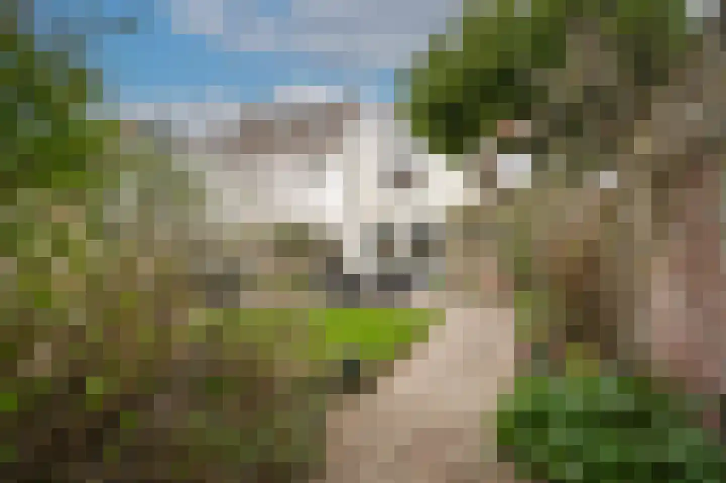 Gamerschestraat 71 Zaltbommel thumbnail 33