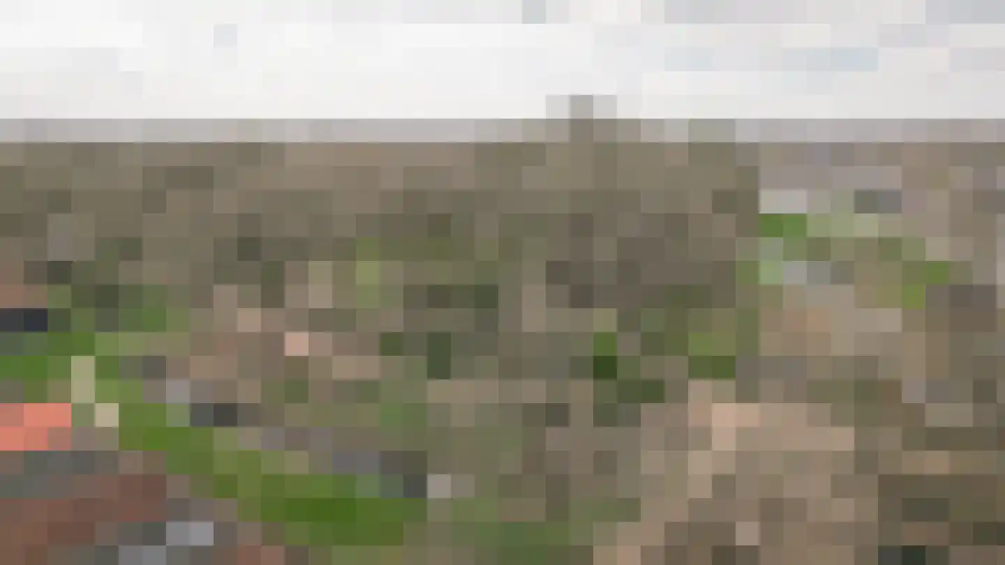 Gamerschestraat 71 Zaltbommel thumbnail 47