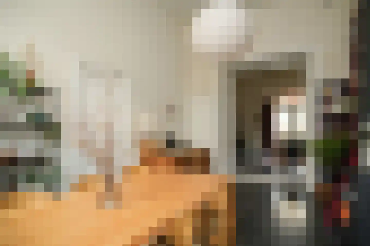 Gamerschestraat 71 Zaltbommel thumbnail 5