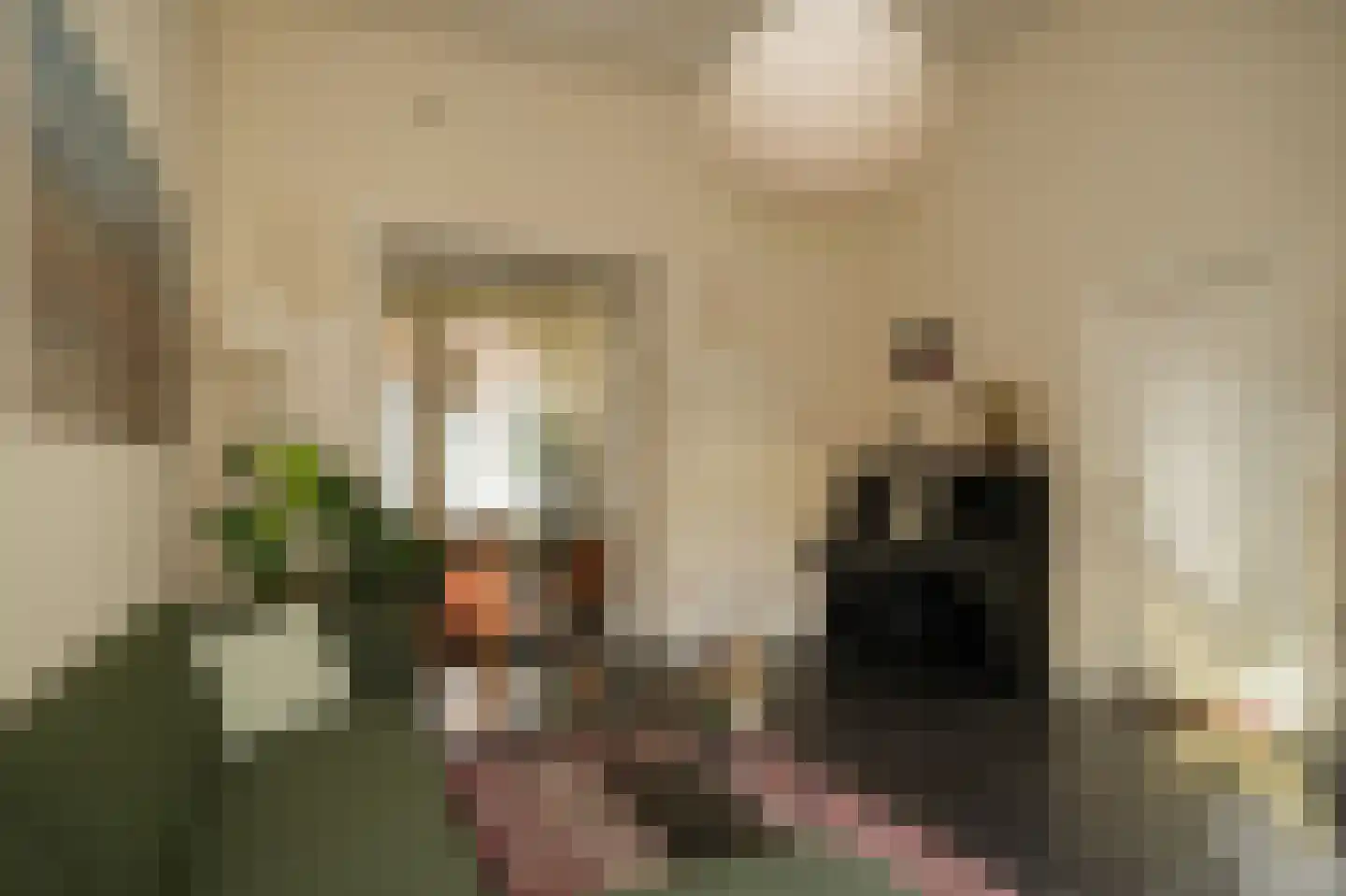 Gamerschestraat 71 Zaltbommel thumbnail 6