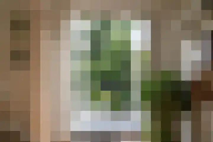 Gamerschestraat 77 Zaltbommel thumbnail 15