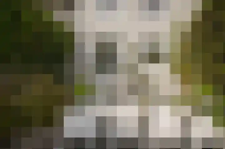 Gamerschestraat 77 Zaltbommel thumbnail 33