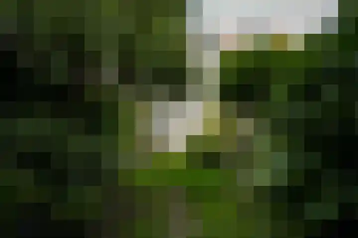 Gamerschestraat 77 Zaltbommel thumbnail 35