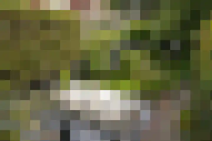 Gamerschestraat 77 Zaltbommel thumbnail 36