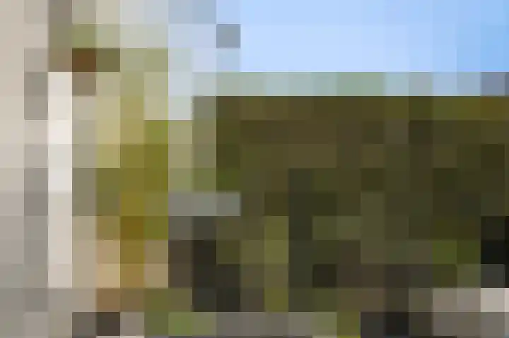 Gamerschestraat 77 Zaltbommel thumbnail 37