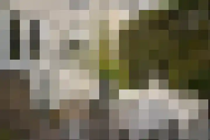 Gamerschestraat 77 Zaltbommel thumbnail 39