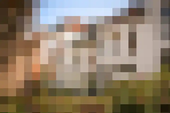 Gamerschestraat 77 Zaltbommel thumbnail 4