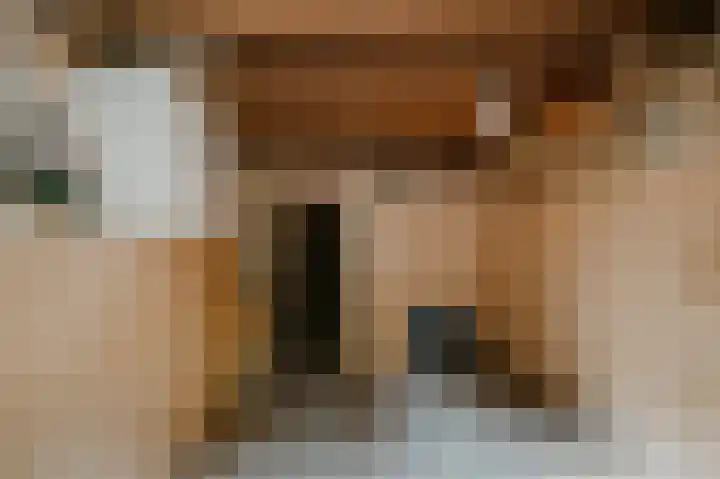 Gamerschestraat 77 Zaltbommel thumbnail 41