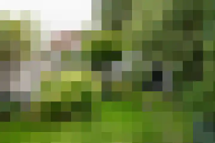 Gamerschestraat 77 Zaltbommel thumbnail 43