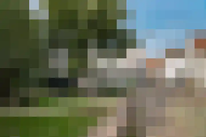 Gamerschestraat 77 Zaltbommel thumbnail 49
