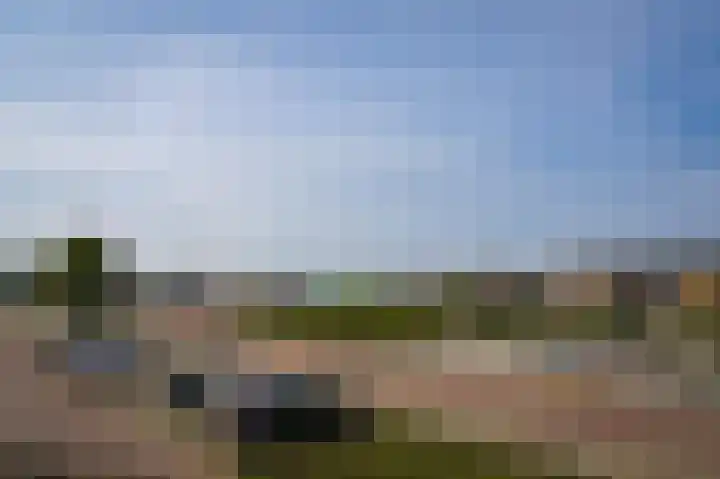 Gamerschestraat 77 Zaltbommel thumbnail 50