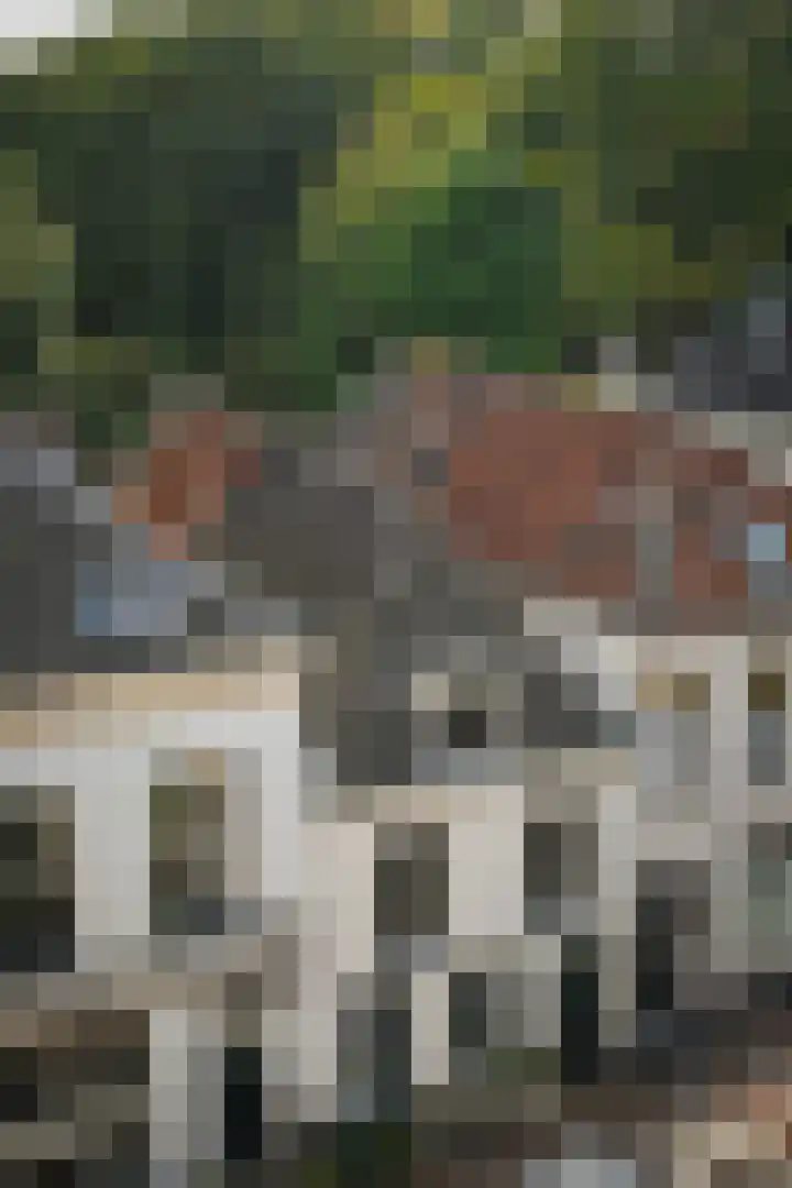 Gamerschestraat 77 Zaltbommel thumbnail 54