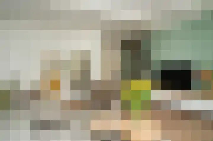 Gamerschestraat 77 Zaltbommel thumbnail 6