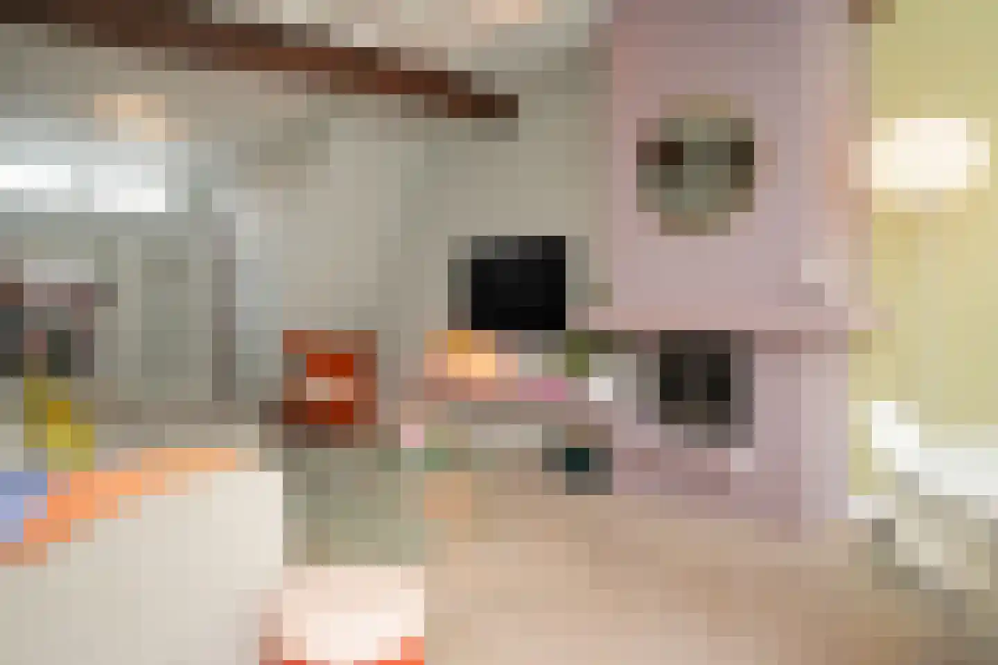 Gamerschestraat 9 Zaltbommel thumbnail 11