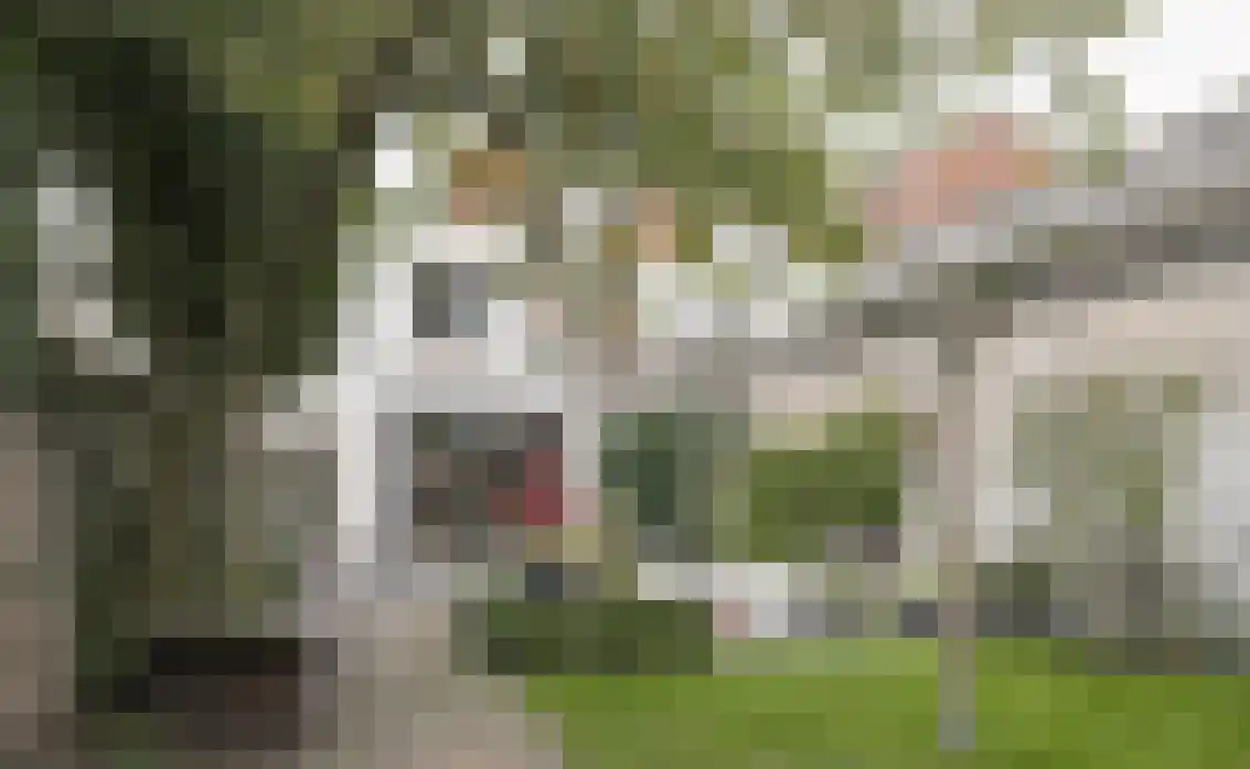 Gamerschestraat 9 Zaltbommel thumbnail 40
