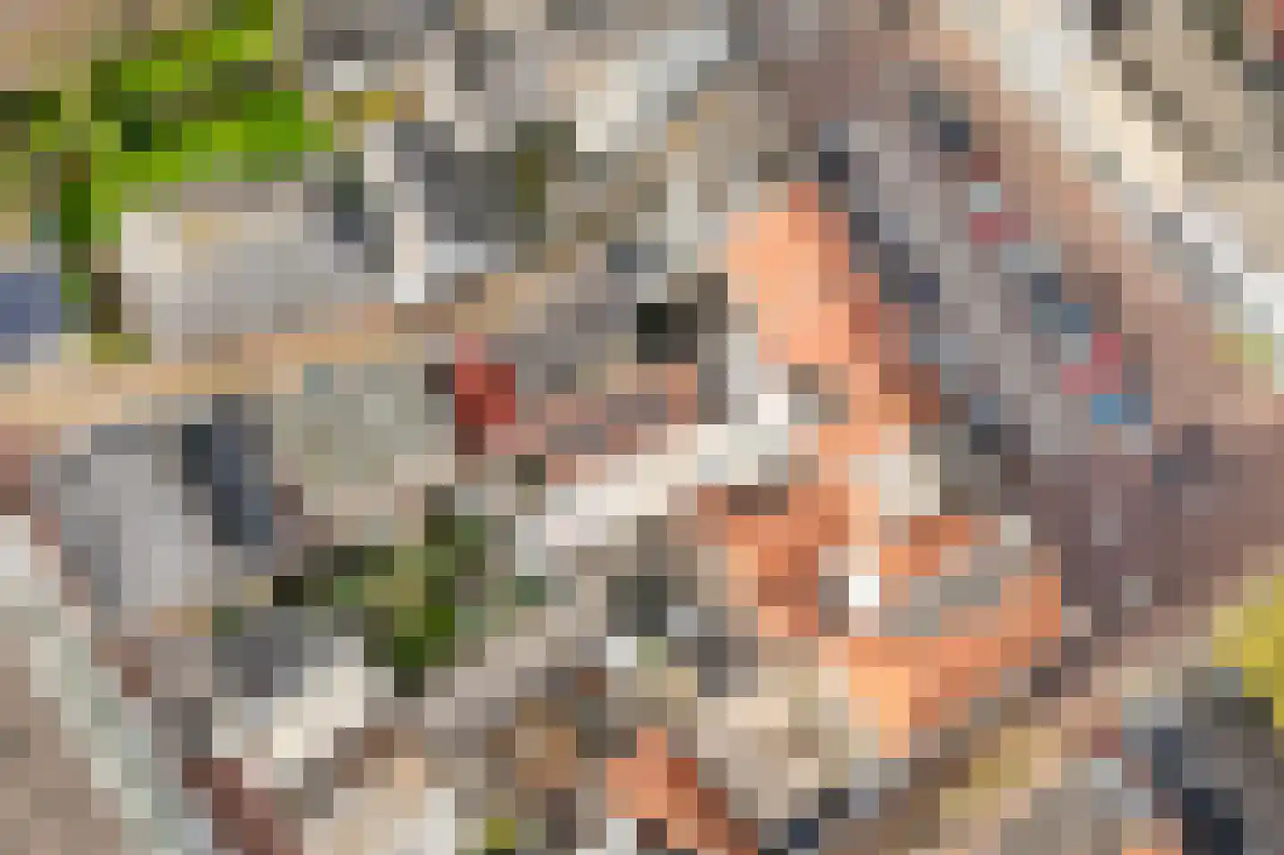 Gamerschestraat 9 Zaltbommel thumbnail 45