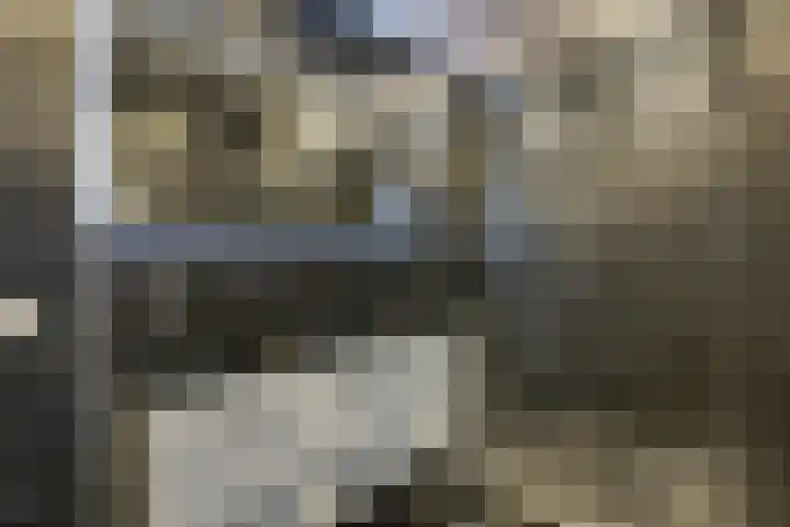 Gamerslagplein 116 Arnhem thumbnail 4