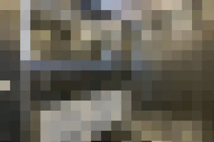 Gamerslagplein 116 Arnhem thumbnail 41