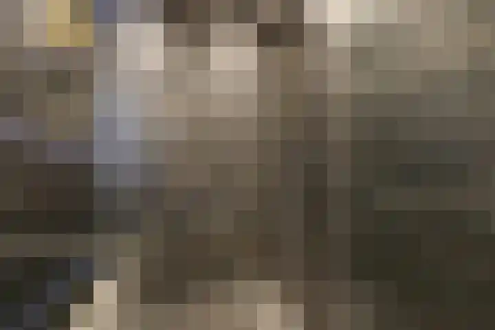 Gamerslagplein 116 Arnhem thumbnail 42