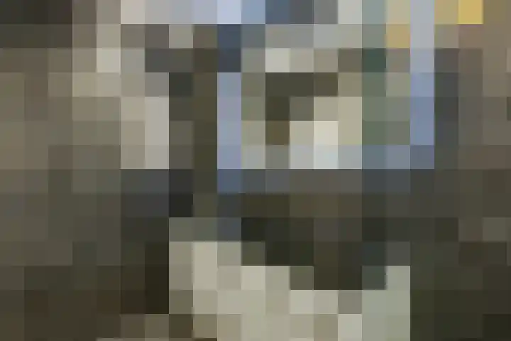 Gamerslagplein 116 Arnhem thumbnail 43