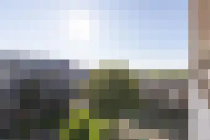 Gamerslagplein 116 Arnhem thumbnail 49