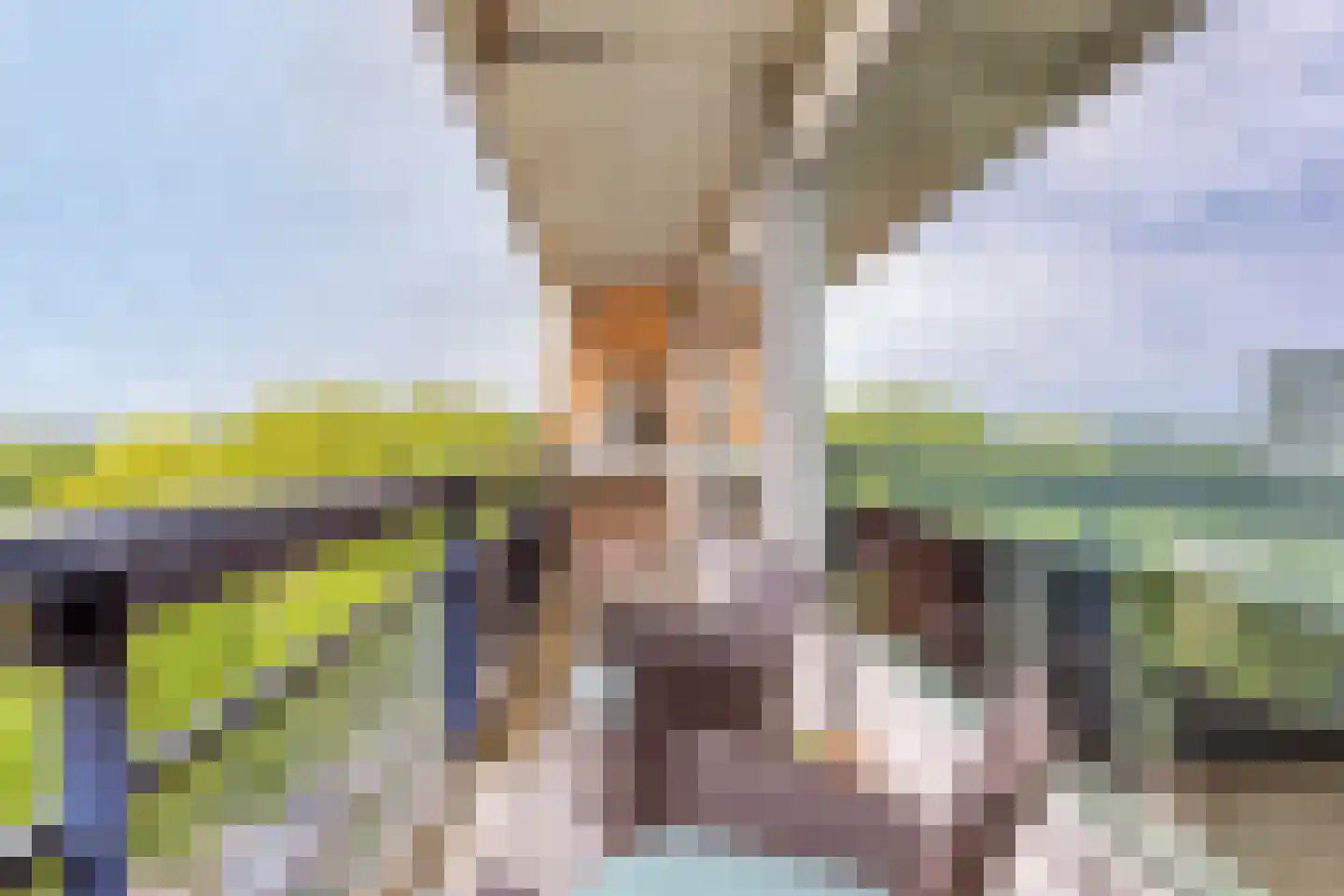 Gamerslagplein 118 Arnhem thumbnail 26