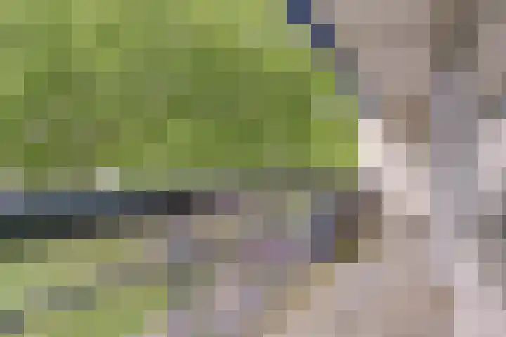 Gamerslagplein 24 Arnhem thumbnail 23