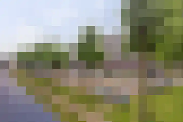 Gamerslagplein 24 Arnhem thumbnail 25