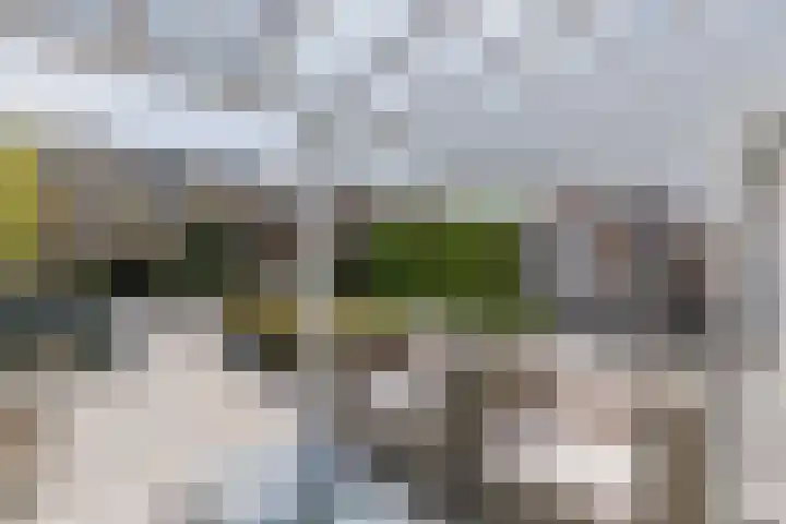Gandalf 39 Geldrop thumbnail 28