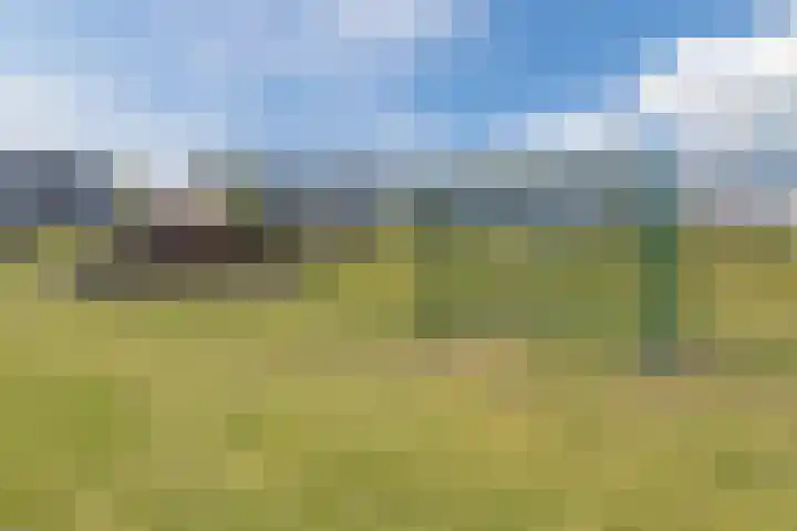 Gandalf 39 Geldrop thumbnail 33