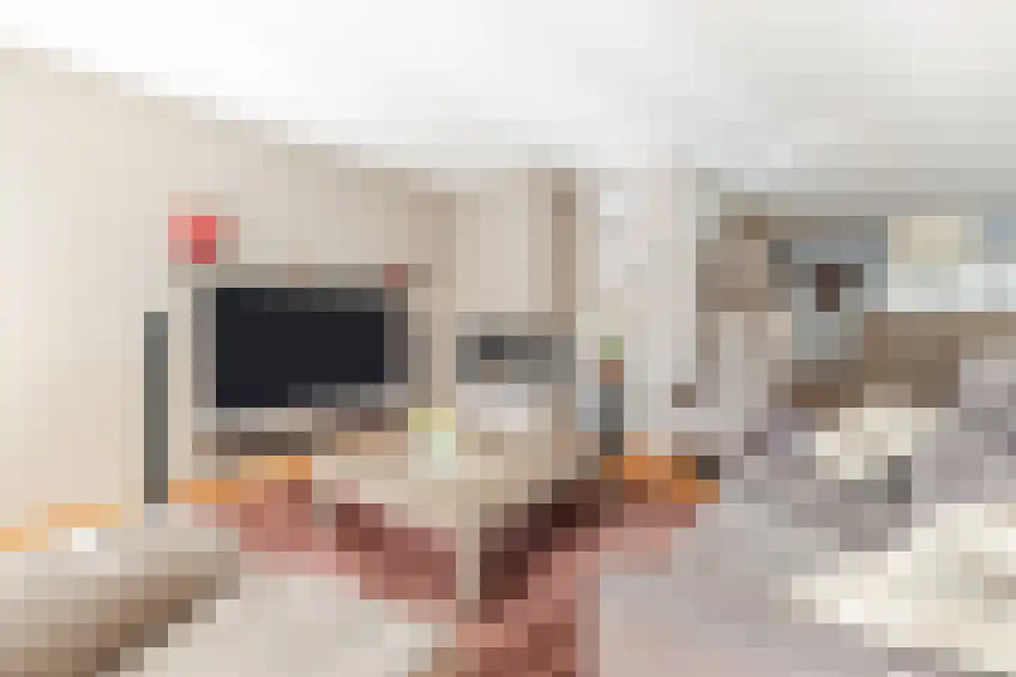 Gandalf 41 Geldrop thumbnail 10