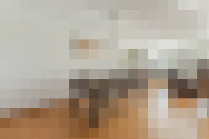 Gandalf 41 Geldrop thumbnail 13