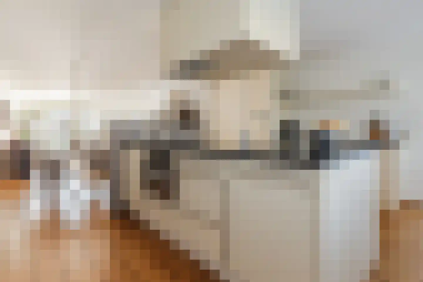 Gandalf 41 Geldrop thumbnail 16