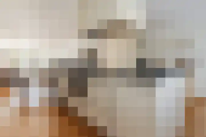 Gandalf 41 Geldrop thumbnail 16