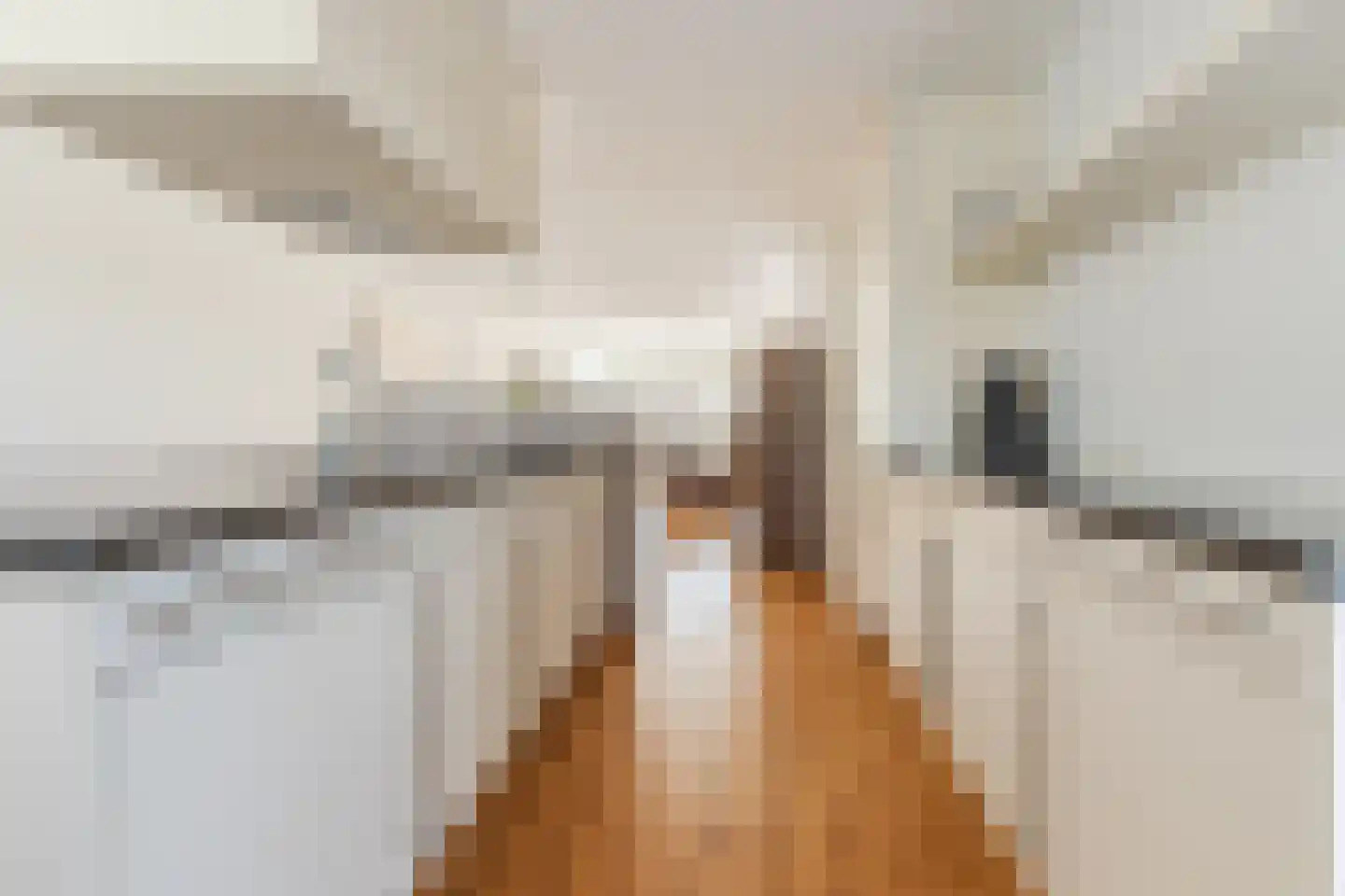 Gandalf 41 Geldrop thumbnail 17