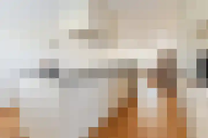 Gandalf 41 Geldrop thumbnail 18