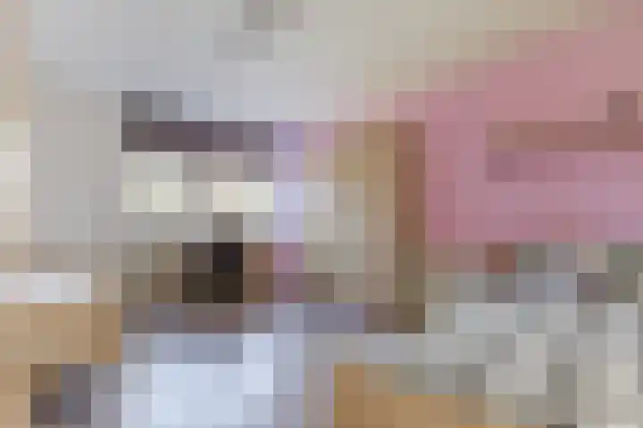 Gandalf 41 Geldrop thumbnail 20