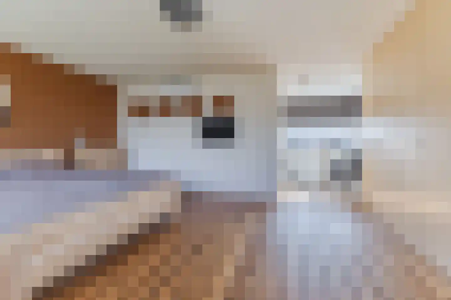 Gandalf 41 Geldrop thumbnail 33