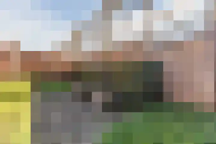 Gandalf 41 Geldrop thumbnail 40